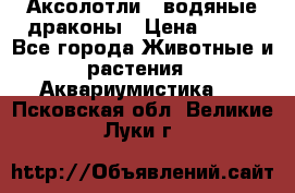 Аксолотли / водяные драконы › Цена ­ 500 - Все города Животные и растения » Аквариумистика   . Псковская обл.,Великие Луки г.